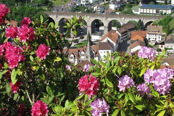 Ausblick auf die Stadt Hornberg