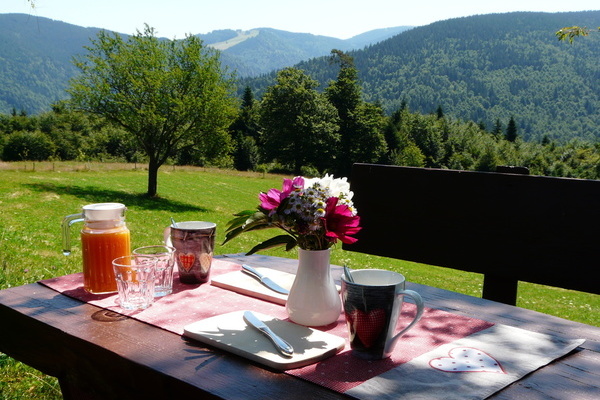 Sitzm�glichkeit unterm Lindenbaum 