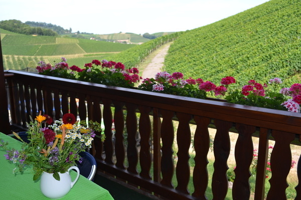 'M�blierter Balkon mit freiem Blick in die Weinberge'
