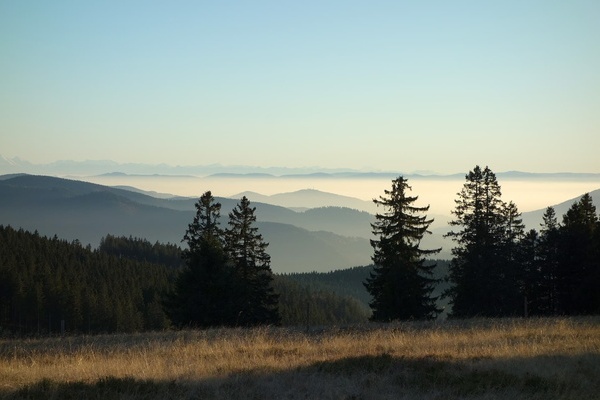 Dem Himme so nah und Alpenblick am Stbenwasen