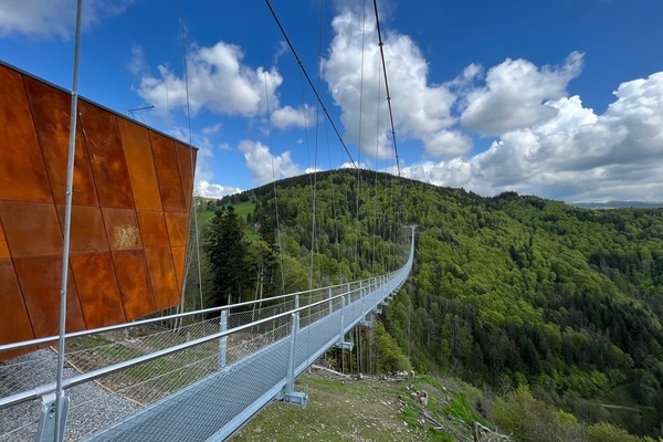 Highlight: H�ngebr�cke BlackforestLine am Ortseingang von Todtnauberg