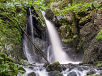 Mit freundlicher Genehmigung der Hotzenwald Tourismus GmbH