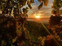 Sonnenuntergang über Auggen Sonnenuntergang über Auggen