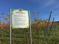 Weinlehrpfad Auggen Weinlehrpfad Auggen