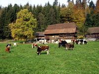 Gemeinde Stegen - Mit freundlicher Genehmigung vom Tourismus Dreisamtal e.V. Gemeinde Stegen - Mit freundlicher Genehmigung vom Tourismus Dreisamtal e.V.