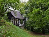 Mit freundlicher Genehmigung der G�steinformation Pfalzgrafenweiler (Bildnachweis: Mit freundlicher Genehmigung der G�steinformation Pfalzgrafenweiler)