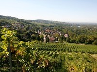  (Bildnachweis: Mit freundlicher Genehmigung der Bade- und Kurverwaltung Bad Bellingen)