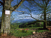  (Bildnachweis: Tourismus GmbH & Co.KG ZweiT�lerLand )