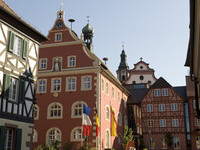 (Bildnachweis: Mit freundlicher Genehmigung der Stadt Ettenheim) (Bildnachweis: Mit freundlicher Genehmigung der Stadt Ettenheim)