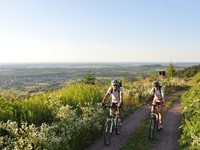  (Bildnachweis: Mit freundlicher Genehmigung der Gemeinde Friesenheim)