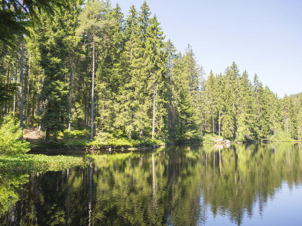 Blick auf Mathisleweiher Bildnachweis: Hochschwarzwald Tourismus GmbH