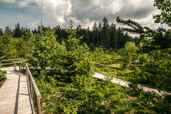 Der Lotharpfad Bildnachweis: Mit freundlicher Genehmigung von Baiersbronn Touristik | &copy; Max Gnter