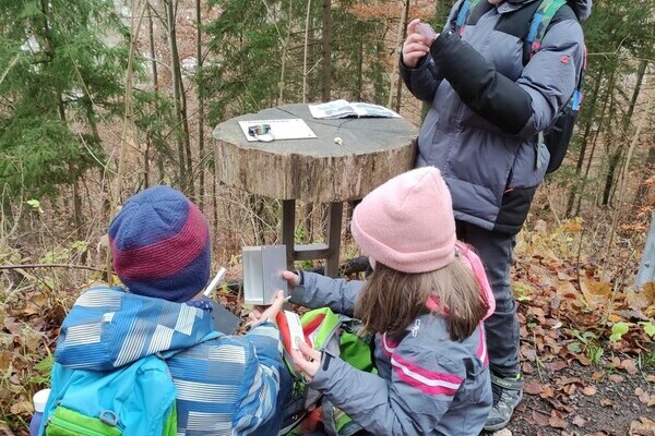 Annis Schwarzwald-Geheimnis Nagold - Der verschollene Keltenschatz Copyright: (©Stadt Nagold) Annis Schwarzwald-Geheimnis Nagold - Der verschollene Keltenschatz Copyright: (©Stadt Nagold)