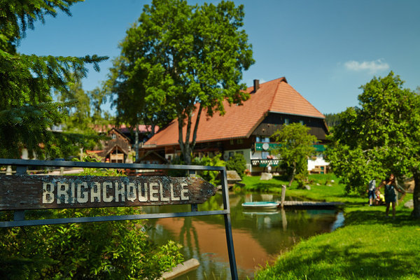 Brigachquelle Copyright: ( � Hochschwarzwald Tourismus GmbH)