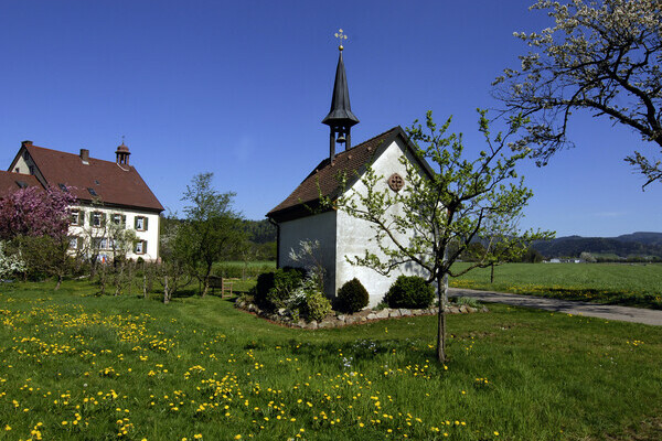 Frhling im Breitehof im Attental Copyright: (Tourist-Information Dreisamtal)