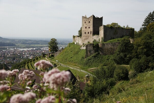 Schauenburg Copyright: ( Renchtal Tourismus GmbH)