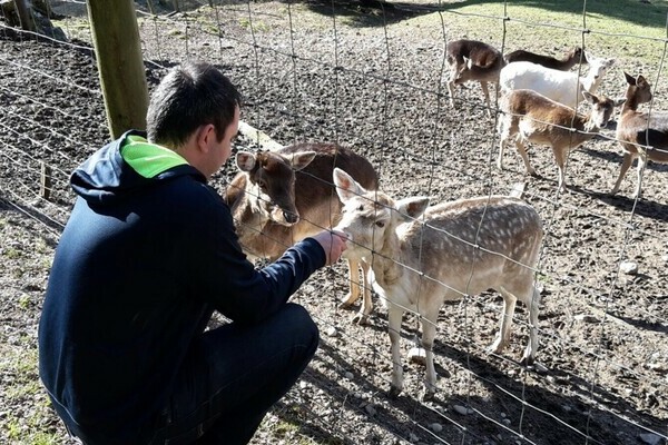 Wildgehege Zell Bildnachweis: Mit freundlicher Genehmigung des Zeller Bergland Tourismus e.V.