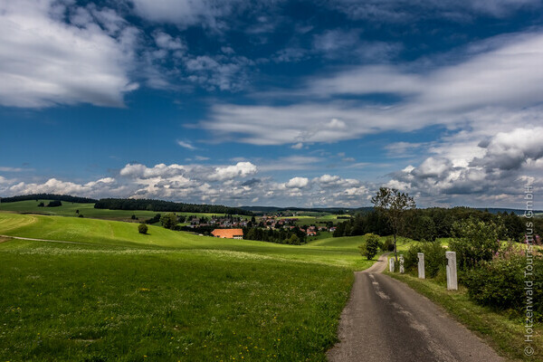 Ausblick ber Herrischried Bildnachweis: Hotzenwald Tourismus GmbH