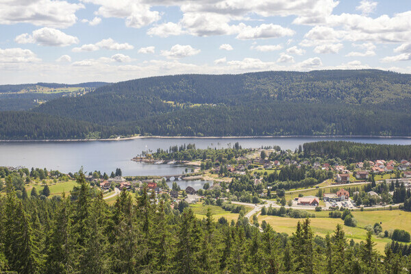 Blick auf Schluchsee vom Riesenb�hlturm Copyright: (Hochschwarzwald Tourismus GmbH)