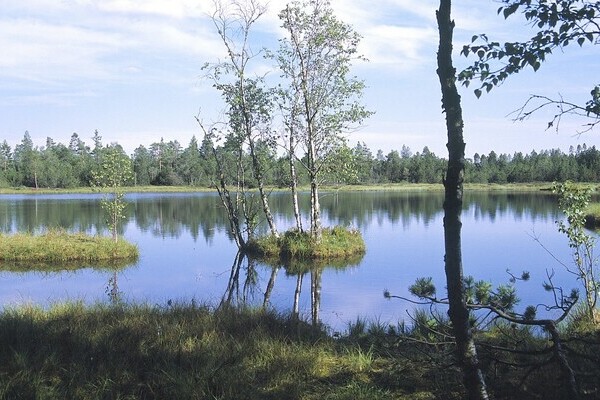 Wildsee Bildnachweis: Touristik Bad Wildbad